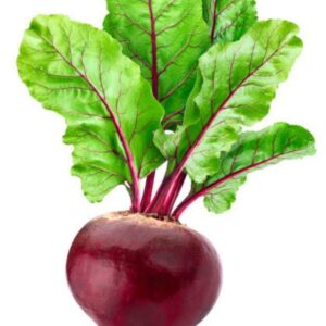 Beet Root