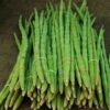 Drumstick - Image 2