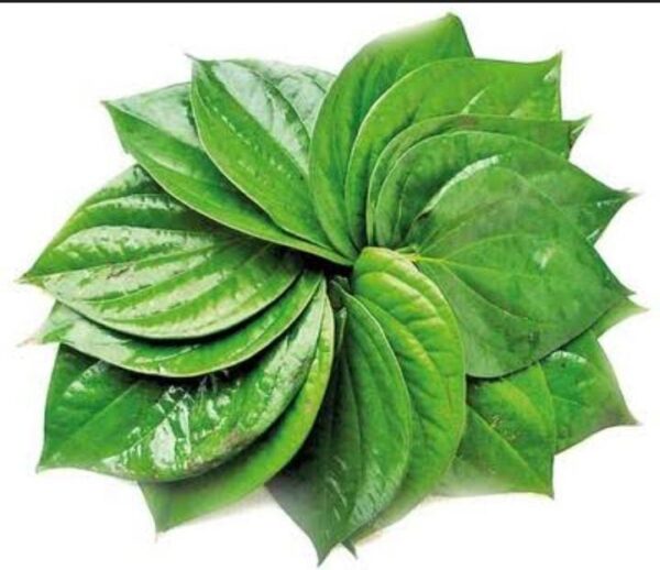 Betel leaves