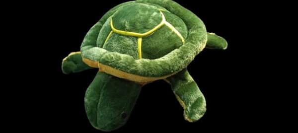 Tortoise - Image 3