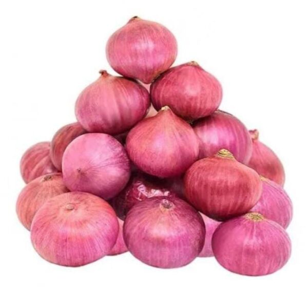 Onion Big size - Image 3