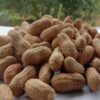 Ground nut with shells