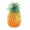 Pineapple - Image 2