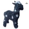 Goat - Image 2