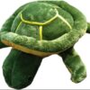 Tortoise