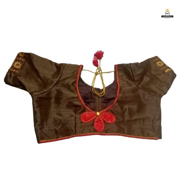Brown color blouse