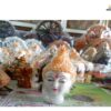 Lord buddha statue head