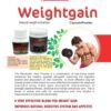 Weightgain Protin Powder