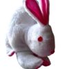 Rabbit Soft toys
