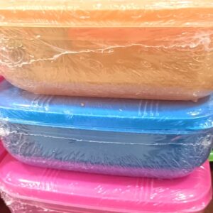 Tiffin Box