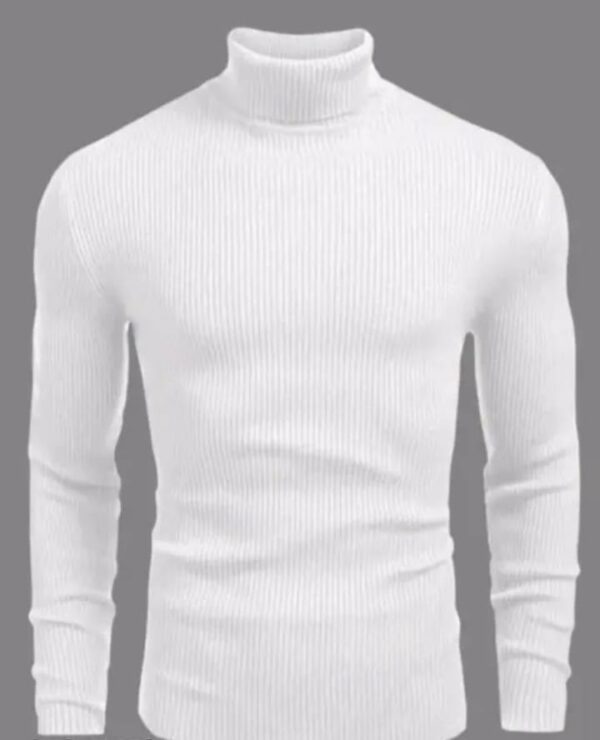 Cotton Blend White Sweatshirt For Men For Casual.