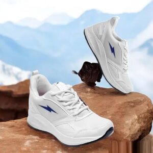 Sports Footwear Casual Shoes